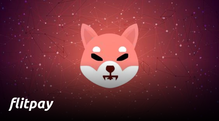 Shiba Inu Price Predictions Will Shiba INU Hit 1 INR In 2021 Flitpay